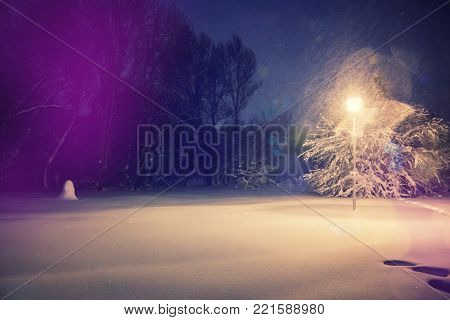 wonderful winter landscape. Winter scenery, snowstorm in a night city park. Picturesque and gorgeous wintry scene. inctagram toning. retro style