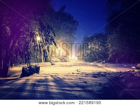 Winter park in snow. fantastic wintry landscape. frosty evening in city park. snow covered trees glowing in light lantern. instagram filter. retro vintage style. happy Christmas