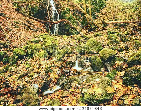 Colorful leaves and foamy rapid stream. Bright autumn colors at stream between mossy whinstone rocks.
