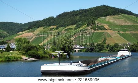 Long, white river ship transporting coal on river Rhine and behind him green hill with vineyard on sunny summer afternoon