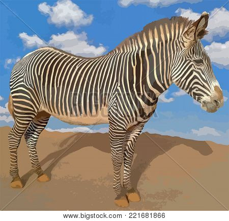 Illustration of a zebra with black and white stripes, in a standing and static position on an ocher dirt road and a blue sky with white clouds.
