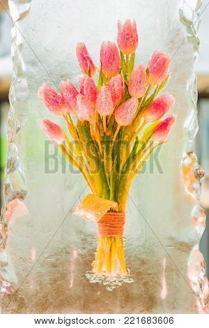 Close up bunch of violet tulips frozen in piece of ice