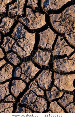 the desert soil is drying out / drought