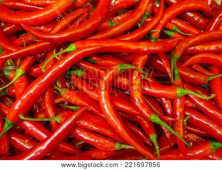 A hot, hot red chili pepper in a box.