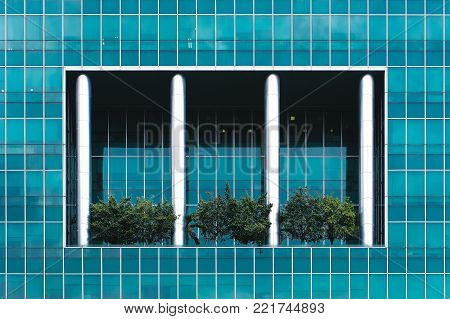 The trees grow in skyscrapers. Combination of technology and nature