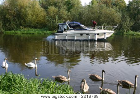 Hastighet båt med svanarna