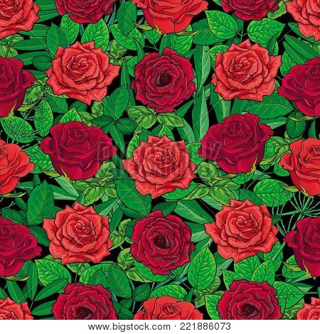 Seamless pattern of hand drawn red roses and leaves on black background, beautiful textile, backdrop, wrapping paper design. Hand-drawn red and scarlet red roses forming seamless background