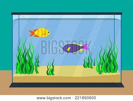 Colorful exotic fishes in a fishbowl with seaweed and sand on the bottom. Vector illustration, flat