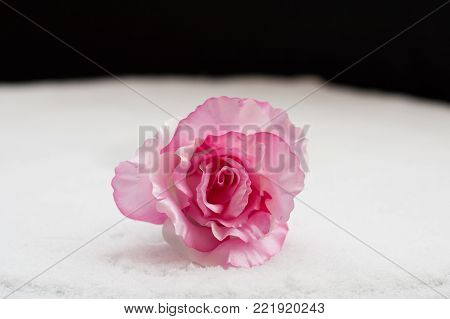 Pink roses bouquet and hearts bokeh background symbolizing love and passion, Valentines Day  Womans Day card