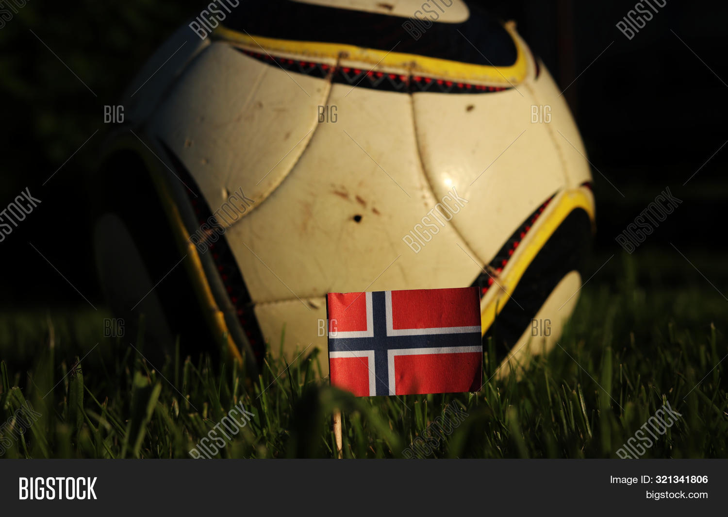 Tricolour Flag Cross Image Photo Free Trial Bigstock National Field Trial Championship 2022