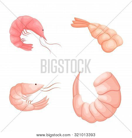 Vector Design Of Shrimp And Crab Symbol. Collection Of Shrimp And Sea Stock Vector Illustration.