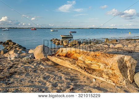 Scenic Beach With Old Tree Trunk And Boats In The Background At The Baltic Sea At Sunset