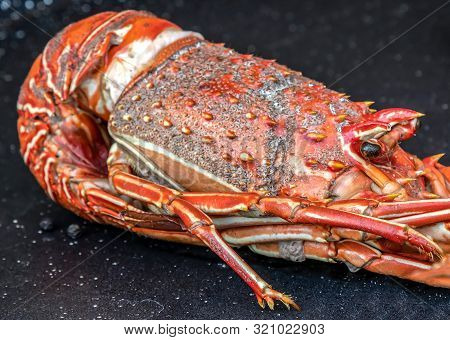 Background With Fresh Crayfish In Pan And Ready For Cooking.