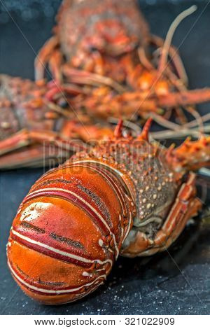 Background With Fresh Crayfish In Pan And Ready For Cooking.
