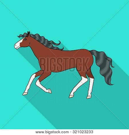 Isolated Object Of Steed And Brown Sign. Set Of Steed And Gallop Stock Vector Illustration.