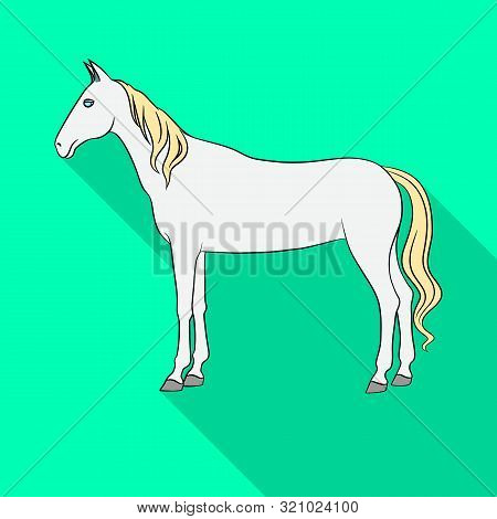 Isolated Object Of Steed And White Symbol. Set Of Steed And Hoofed Stock Symbol For Web.