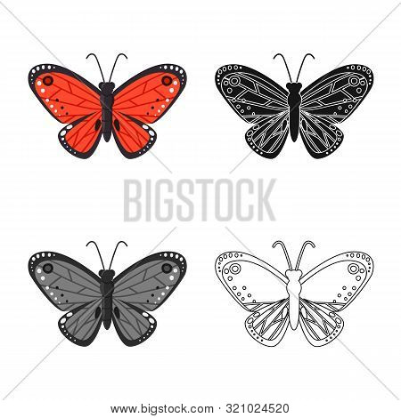 Vector Illustration Of Butterfly And Red Icon. Collection Of Butterfly And Species Vector Icon For S