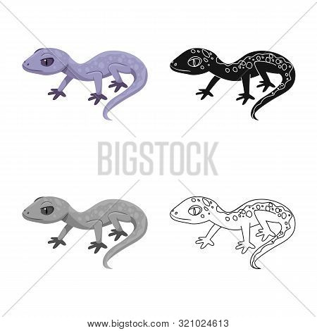Isolated Object Of Lizard And Gray Sign. Set Of Lizard And Dragon Stock Vector Illustration.