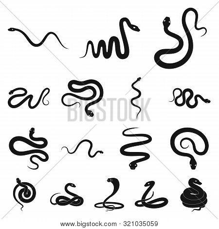 Vector Design Of Nature And Medicine Logo. Collection Of Nature And Evil Vector Icon For Stock.