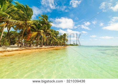 Bois Jolan Beach In Guadeloupe, French West Indies. Lesser Antilles, Caribbean Sea
