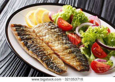 Portion Of Grilled Mackerel Fillet With Lemon And Fresh Vegetable Salad Close-up On A Plate. Horizon
