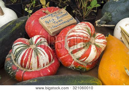 Autumn Exhibition Of Agricultural Products. Turban-shaped Pumpkin (cucurbita Maxima) Of The  Little 