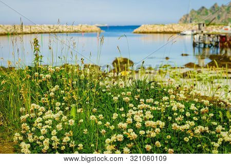 Fishing Port, Bleik Village In Summer Time. Andoya Island, Vesteralen Archipelago.