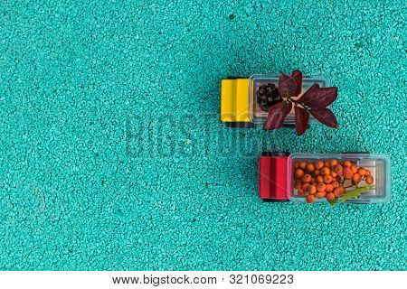 Two Toy Cars Trucks Brought Autumn With Them. In The Back Are Red Leaves And Rowan Berries. Copy Spa