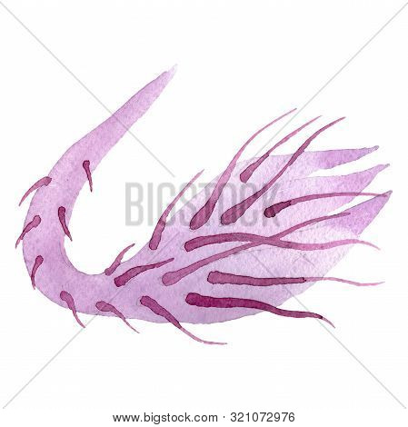 Epiphilum Oxypetalum Floral Botanical Flower. Watercolor Background Set. Isolated Cactus Illustratio
