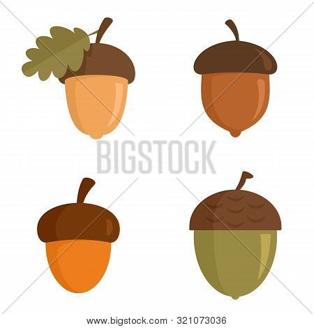 Acorn Icons Set. Flat Set Of Acorn Vector Icons For Web Design