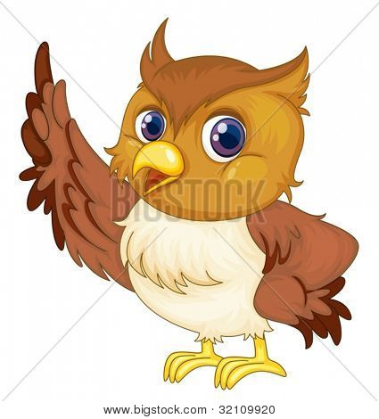 illustration on of an owl on white