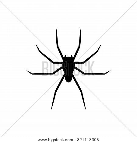 Black Silhouette Of Spider Isolated On White Background. Halloween Decorative Element. Illustration 