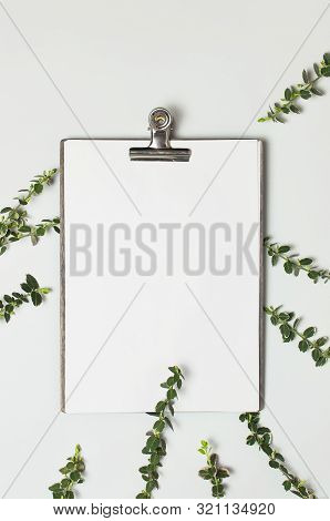 Blank White Paper With Folder And Metal Clothespin, Spring Green Twigs Of Plants On Gray Background
