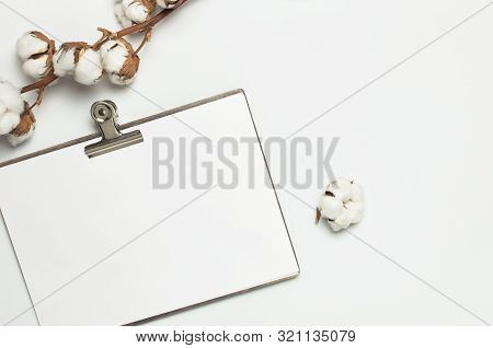 Blank White Paper With Folder And Metal Clothespin, Cotton Branch On Gray Background Top View Flat L