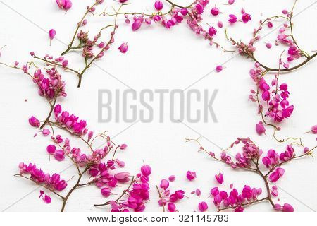 Colorful Pink Little Flowers Antigonon Leptopus Climber Local Flora Arrangement Flat Lay Postcard St