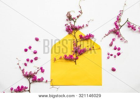 Colorful Pink Little Flowers Antigonon Leptopus Climber Local Flora With Yellow Envelope Arrangement