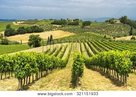 Rural Landscape Along The Road From Certaldo To Gambassi Terme, Florence, Tuscany, Italy, At Summer