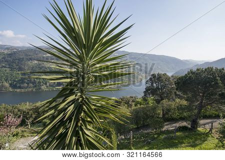 Europe Portugal Douro Landscape