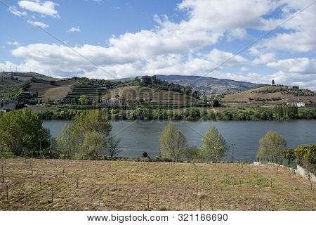 Europe Portugal Douro River Winery