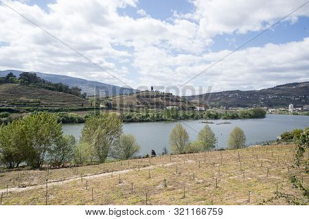 Europe Portugal Douro River Winery