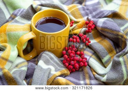A Yellow Cup Of Tea Stands On A Plaid. There Is A Bunch Of Mountain Ash Next To The Mug. Homeliness,
