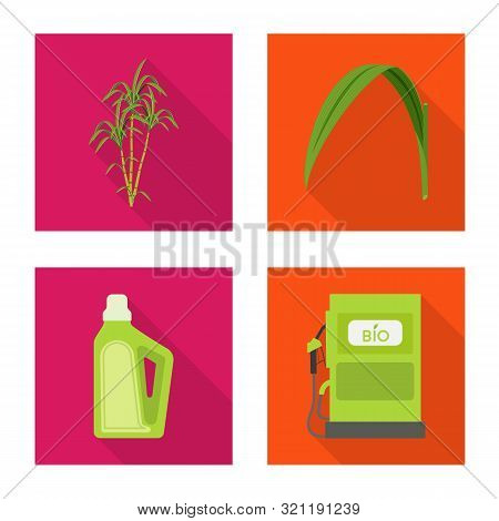 Vector Design Of Plant And Plantation Logo. Collection Of Plant And Agriculture Vector Icon For Stoc