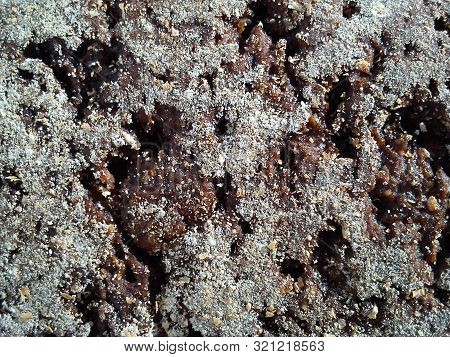 Close-up Of The Outer Side Of A Piece Of Rye Bread With Flour Sprinkling And Whole Grains In Warm Br