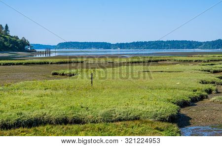 The Nisqually River Flows Past Mud Flats In The Nisqually Wetlands Near Olympia, Washington.