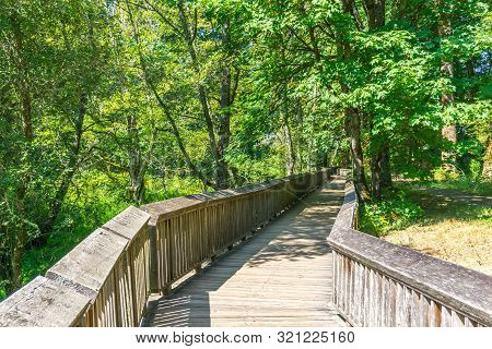 A Boardwalk At The Nisqually Wetlands In Washington State.
