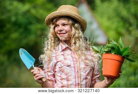 Hobby. Environment Ecology. Green Nature Protection. Small Girl Farmer Care About Plant In Pot. Farm