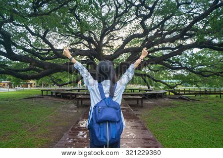 Happy Asian Woman, A Backpacker, Relaxing And Enjoying At Giant Green Samanea Saman Tree With Branch