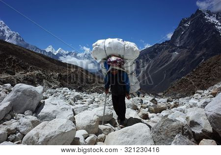 Sagarmatha national park, Nepal - May 20, 2019: Porter is carrying extremely big load hiking in riverbed. Everest trek, trail near Dughla (4620 m)