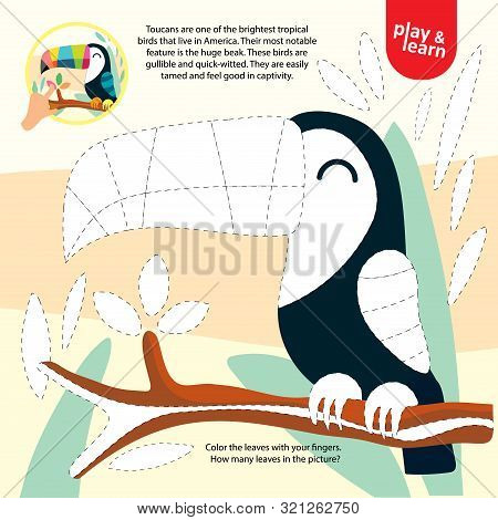 Drawing Game Tutorial Toucan Printable Template Vector