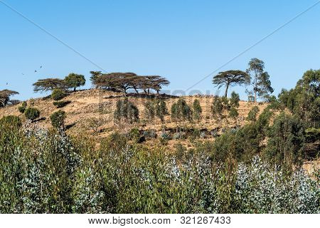 Landscape View Between Gondar And The Simien Mountains, Ethiopia, Africa